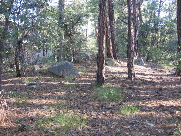 1885 Timber Point North Prescott, AZ 86303 - Photo 8 of 13 Additional Photo