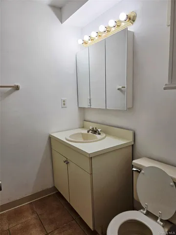 a bathroom with a sink vanity and toilet