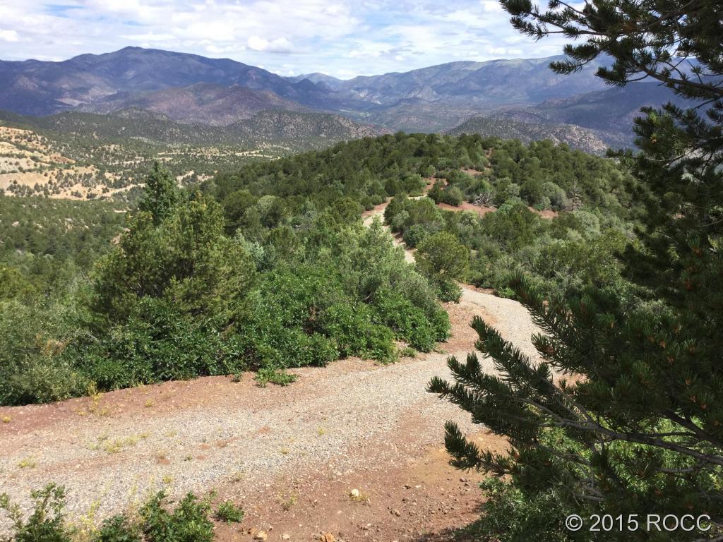Tbd Knotty Pine Road Howard, CO 81233 - Photo 1 of 20 Gallery Image 1