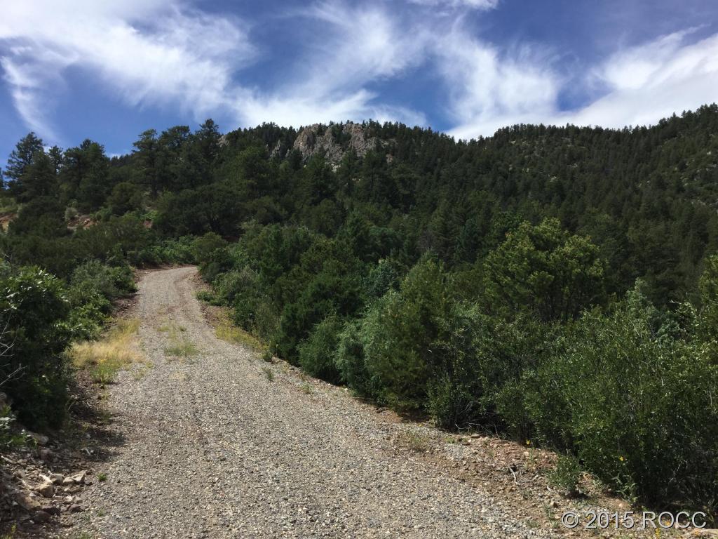 Tbd Knotty Pine Road Howard, CO 81233 - Photo 11 of 20 Gallery Image 11