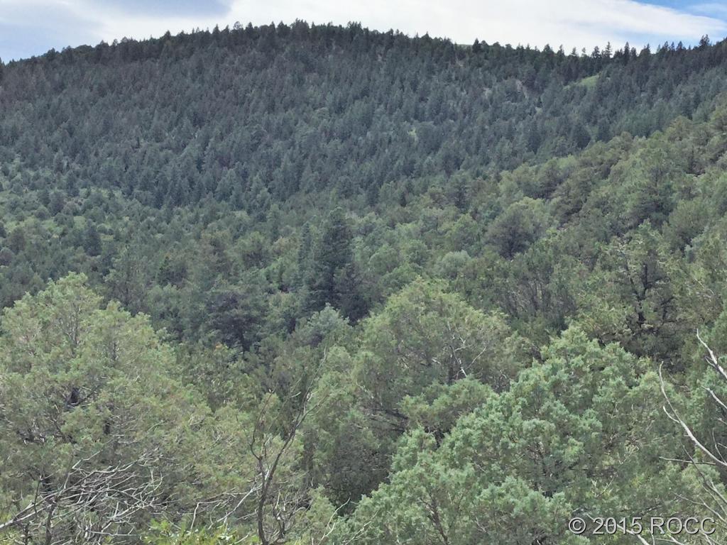 Tbd Knotty Pine Road Howard, CO 81233 - Photo 13 of 20 Gallery Image 13