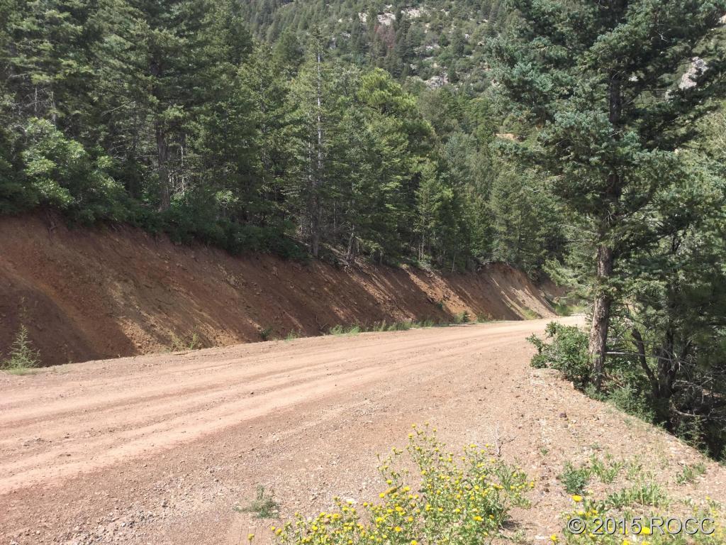 Tbd Knotty Pine Road Howard, CO 81233 - Photo 15 of 20 Gallery Image 15