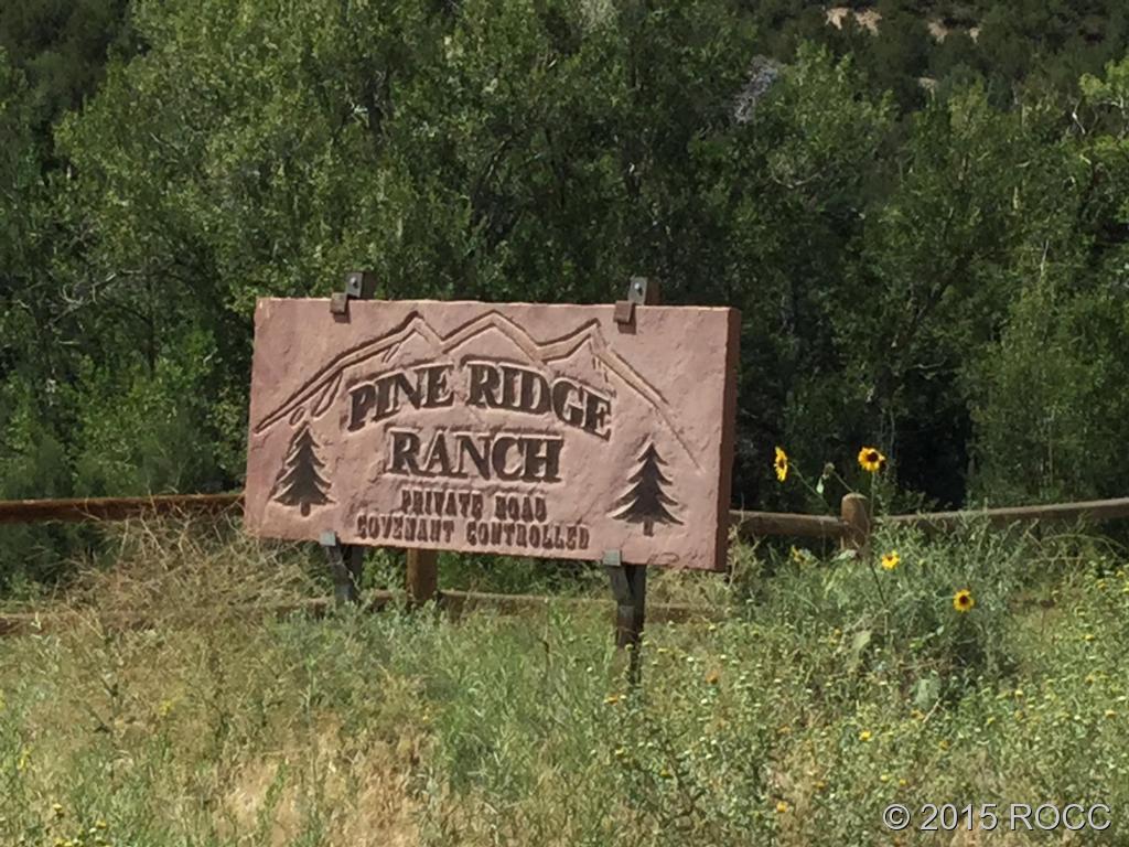 Tbd Knotty Pine Road Howard, CO 81233 - Photo 19 of 20 Gallery Image 19