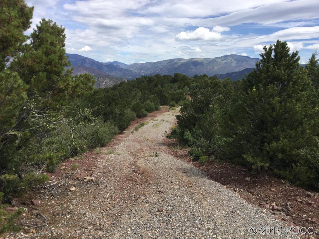 Tbd Knotty Pine Road Howard, CO 81233 - Photo 3 of 20 Gallery Image 3