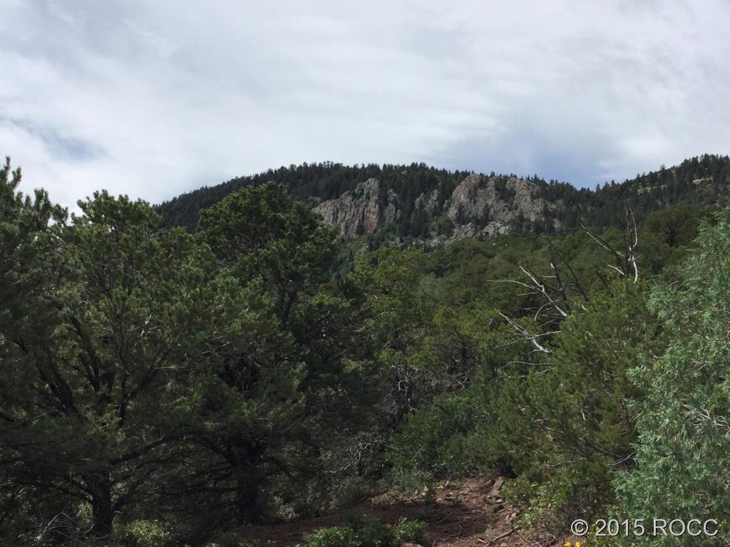 Tbd Knotty Pine Road Howard, CO 81233 - Photo 5 of 20 Gallery Image 5
