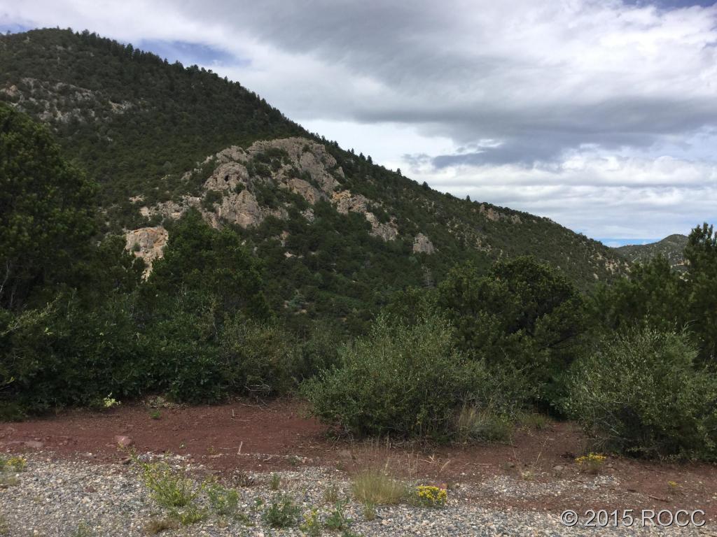 Tbd Knotty Pine Road Howard, CO 81233 - Photo 6 of 20 Gallery Image 6