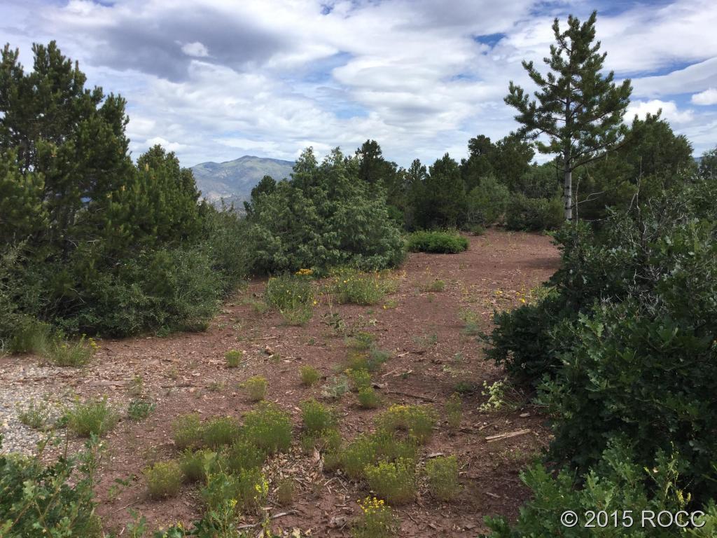 Tbd Knotty Pine Road Howard, CO 81233 - Photo 7 of 20 Gallery Image 7