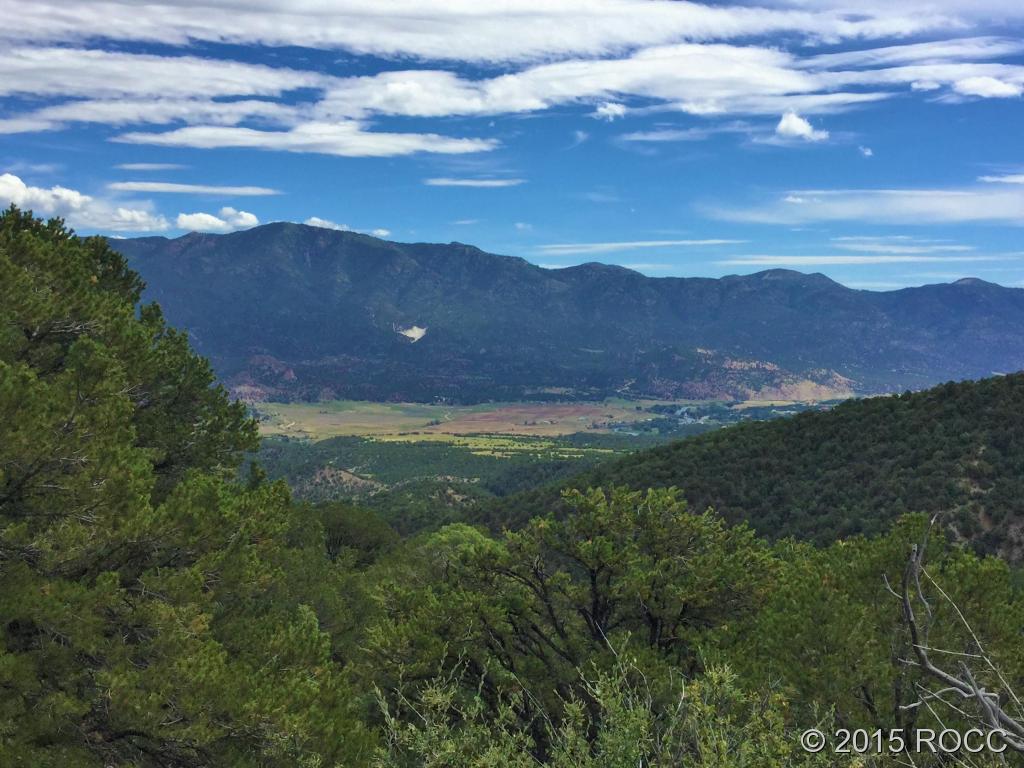 Tbd Knotty Pine Road Howard, CO 81233 - Photo 10 of 20 Gallery Image 10