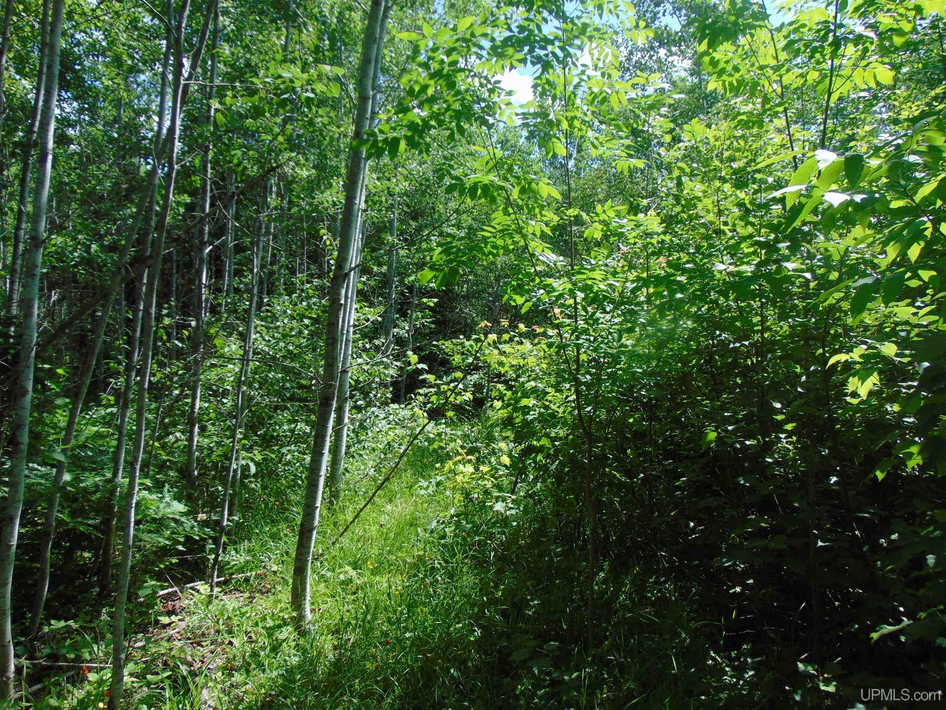 Tbd 2 Norwich Road Ewen, MI 49925 - Photo 10 of 15
