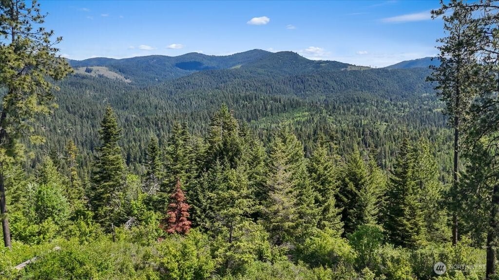 18-xxx East Miner Road Mead, WA 99021 - Photo 6 of 40 a view of a lush green forest with mountains in the background