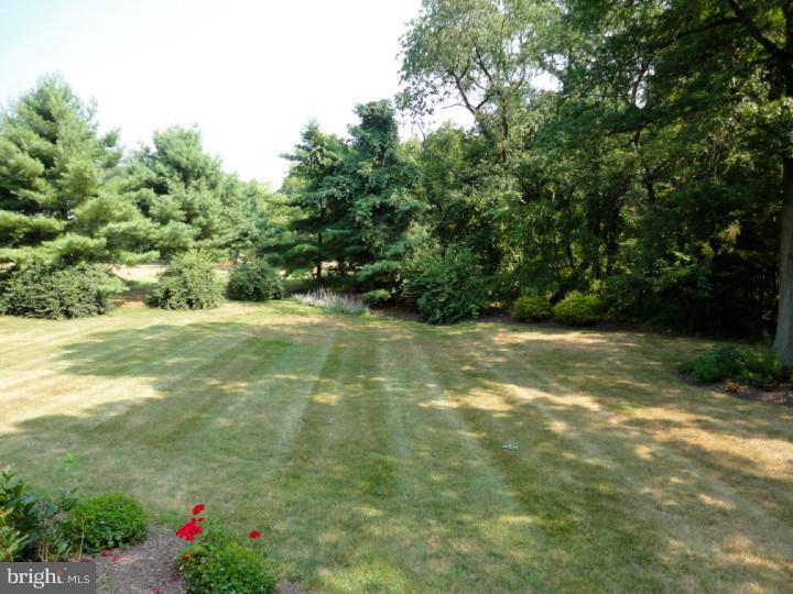 363 Morris Road Harleysville, PA 19438 - Photo 25 of 25 Back Yard