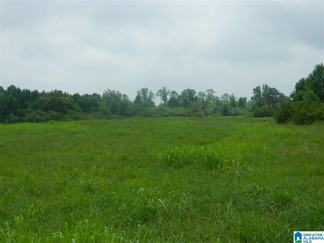 0 County Road 76 Cullman, AL 35057 - Photo 12 of 14