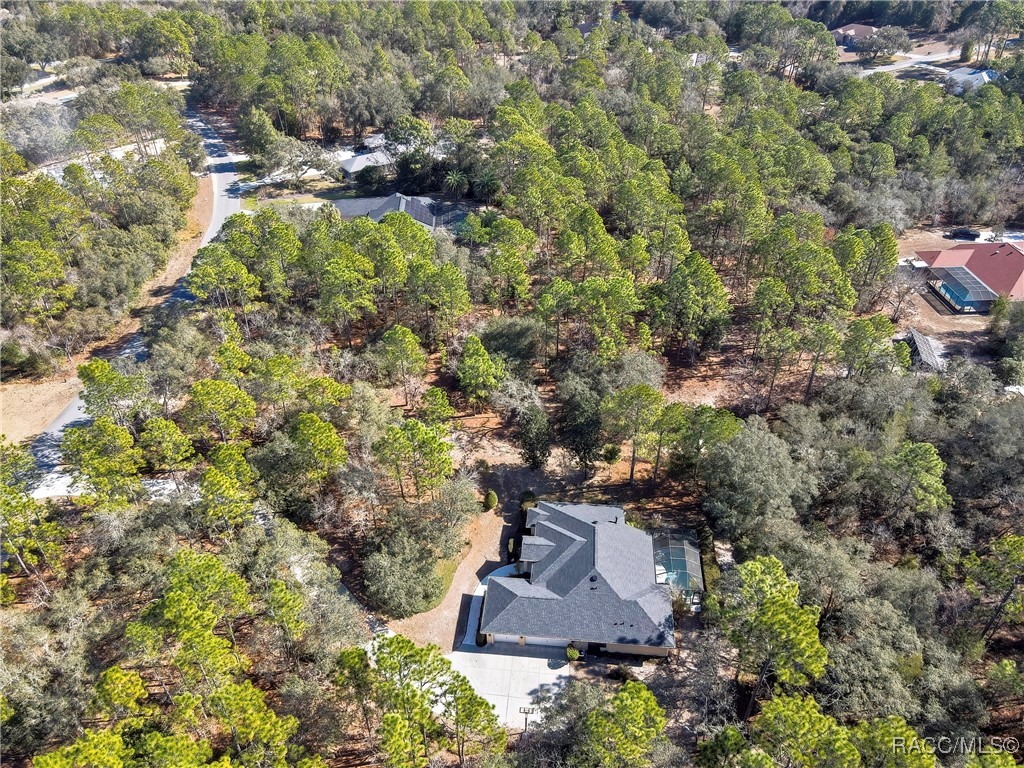3921 North Longvalley Road Hernando, FL 34442 - Photo 6 of 11