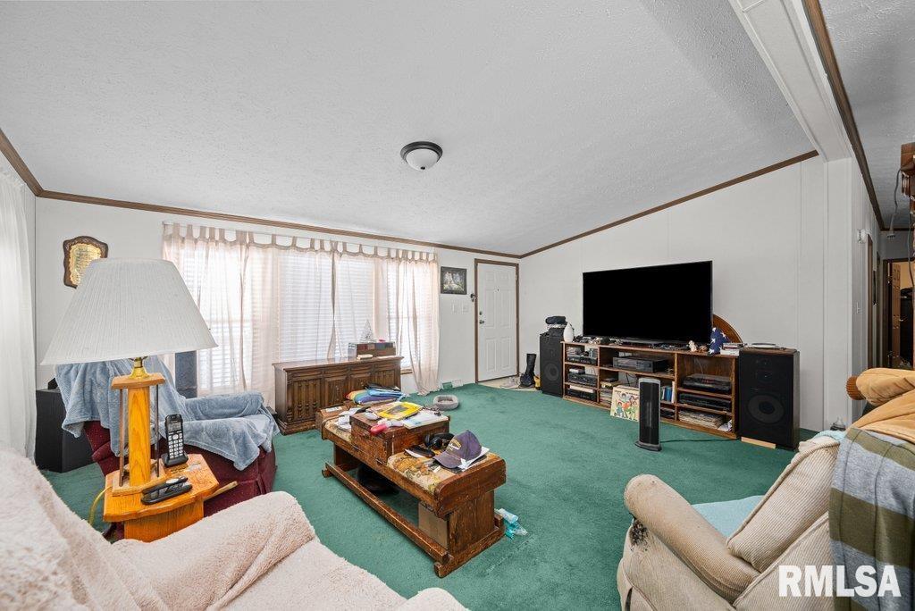 409 233rd Street Aledo, IL 61231 - Photo 11 of 45 a living room with furniture and a flat screen tv