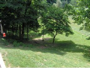 416 Sinking Creek Road Johnson City, TN 37601 - Photo 4 of 9 Photo 4