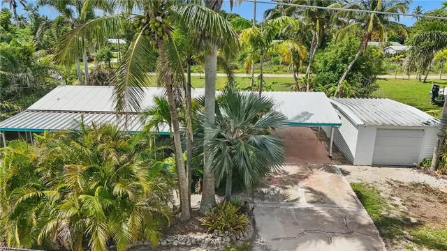 a view of a backyard