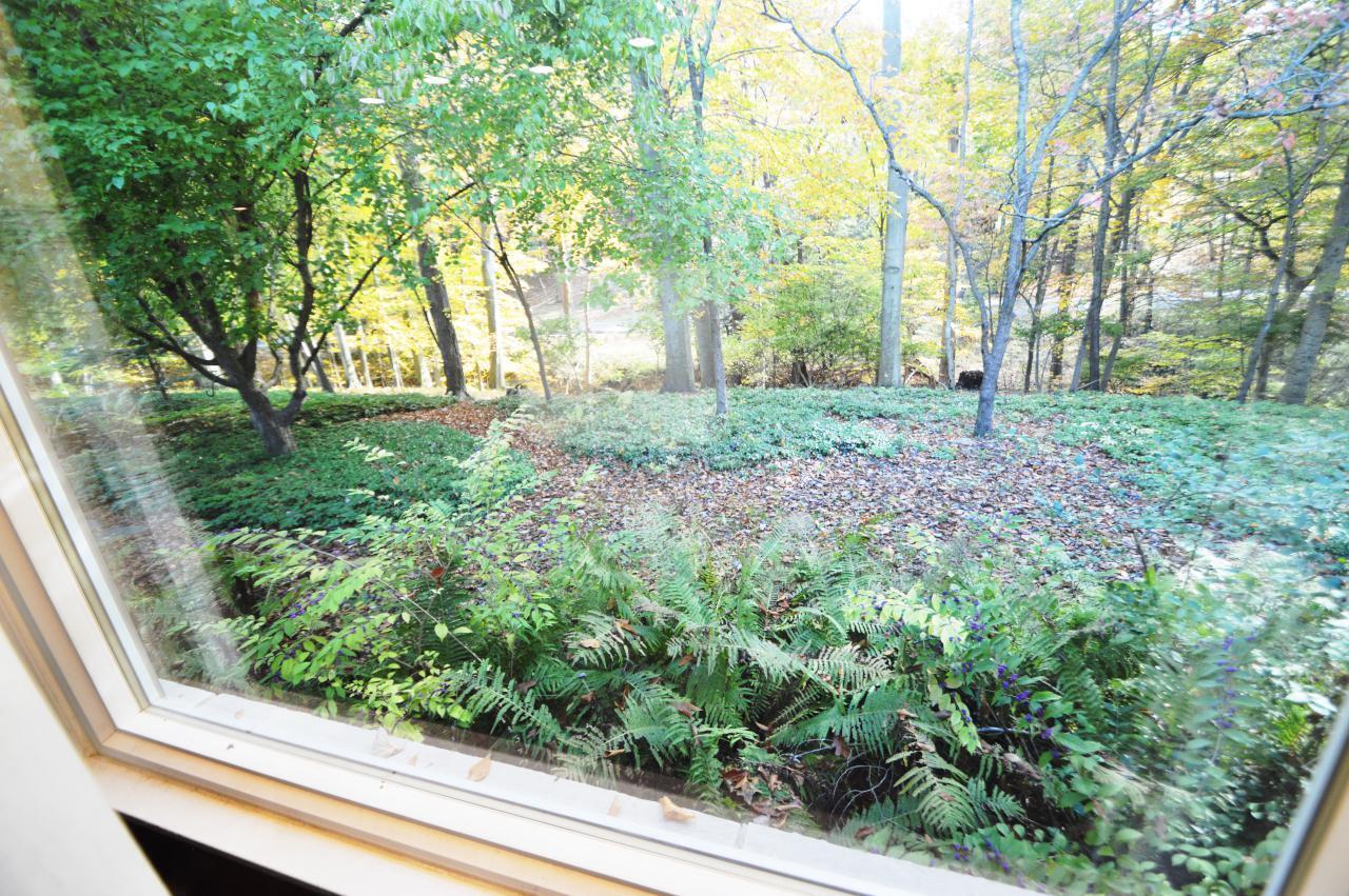 1135 Marietta Road Lancaster, OH 43130 - Photo 15 of 58 Beautiful Mature Trees