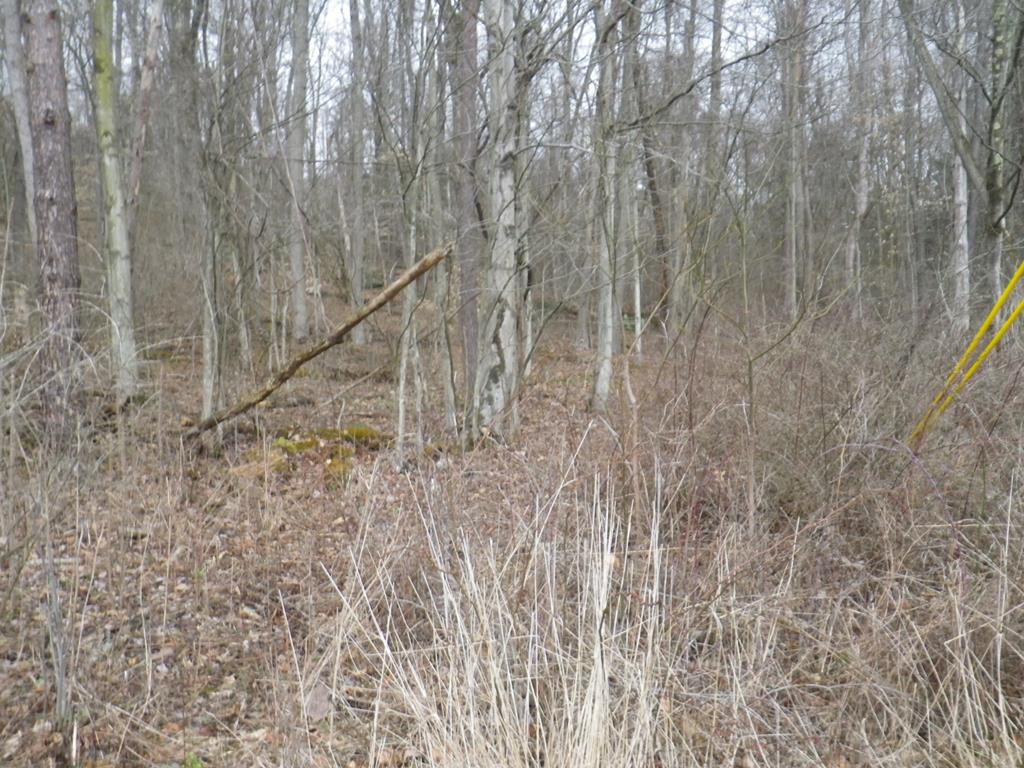 0 Peg Run Run Road Cherry Tree, PA 15724 - Photo 8 of 14 Gallery Image 8