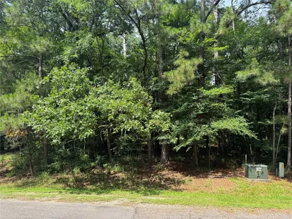 $12,500 | 75 Green Tree Drive, Coldspring, TX 77331