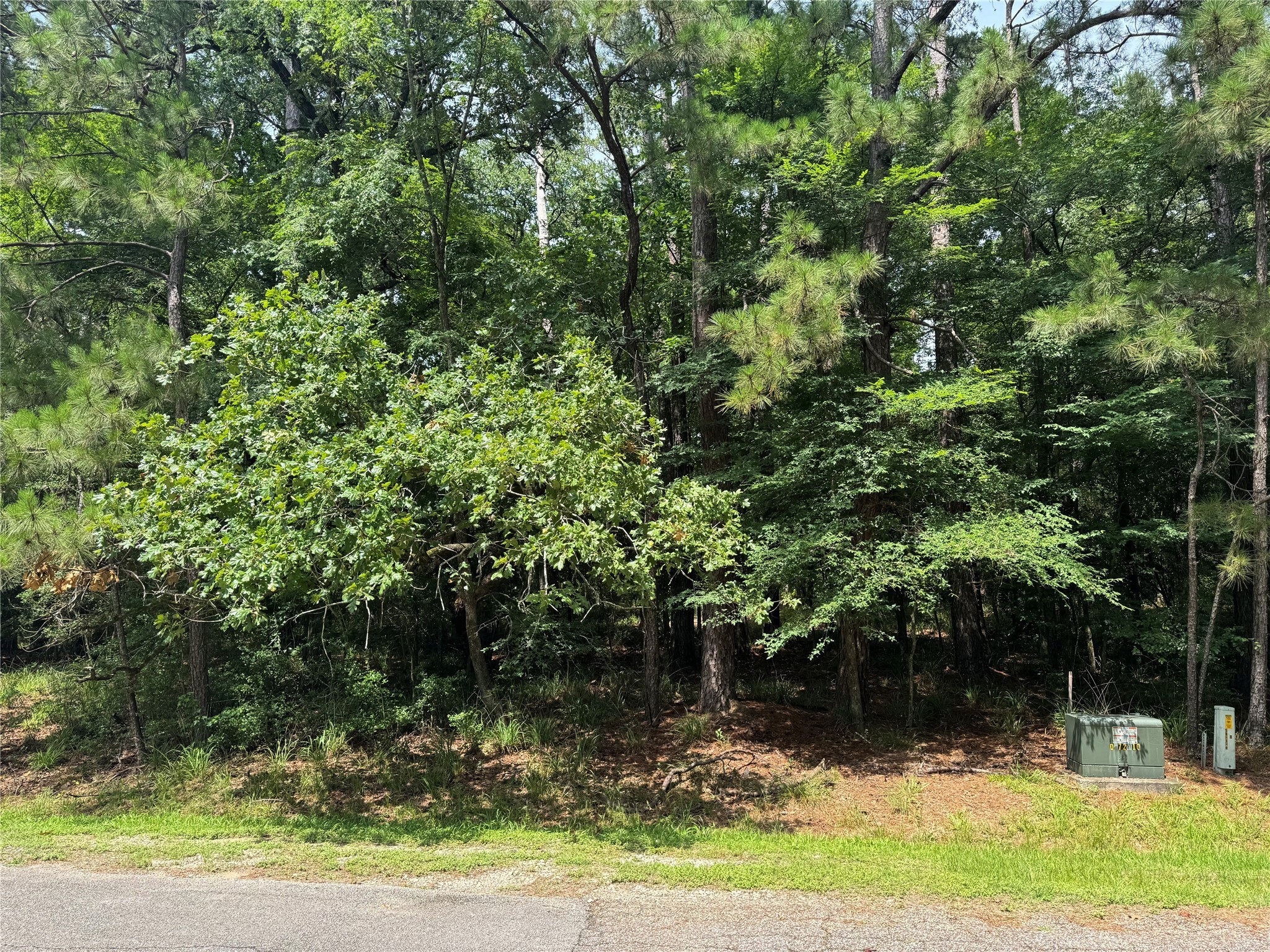 75 Green Tree Drive Coldspring, TX 77331 - Photo 2 of 13 Your blank canvas for a dream home in Cape Royale!