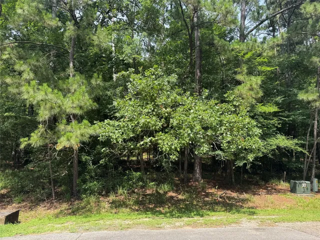 $12,500 | 75 Green Tree Drive, Coldspring, TX 77331