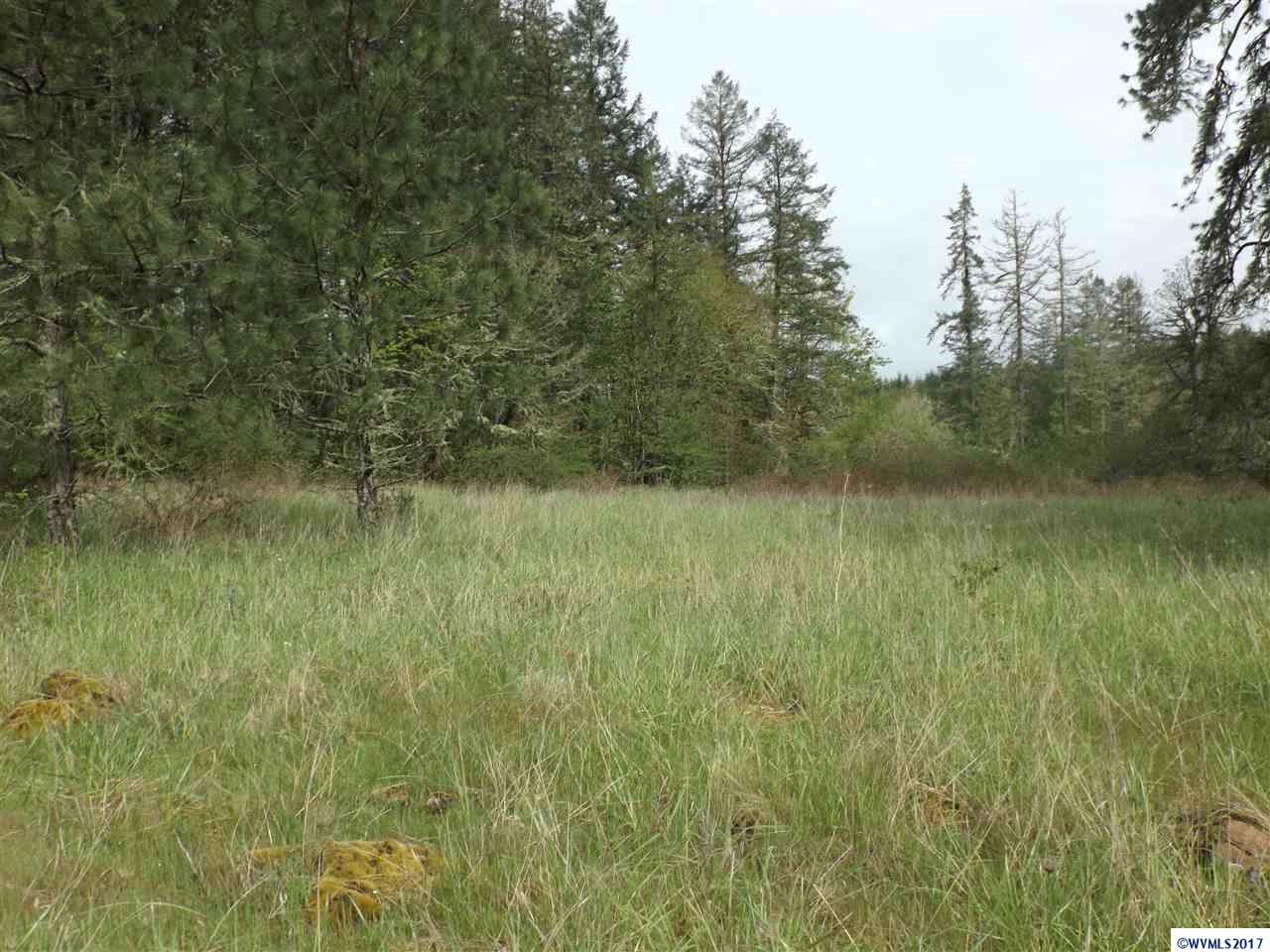 Weldon (lot 209) Road Lebanon, OR 97355 - Photo 8 of 17