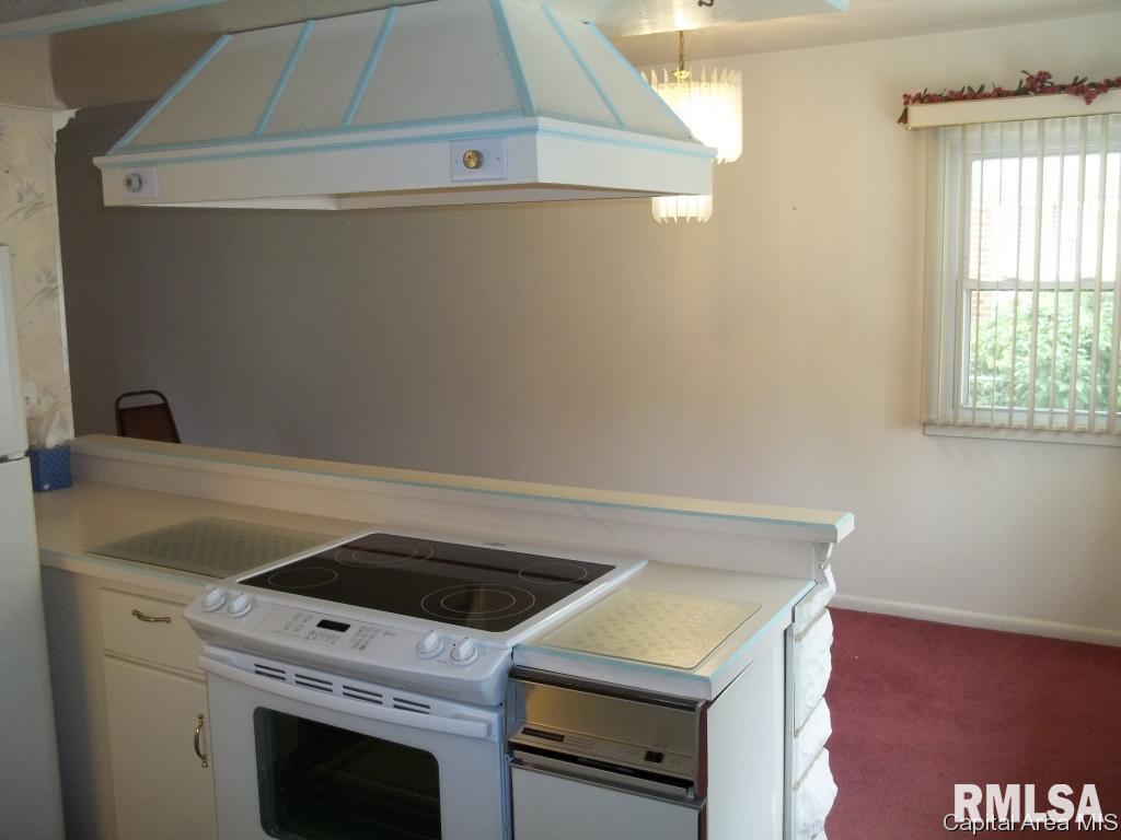 1709 North 23rd Street Springfield, IL 62702 - Photo 17 of 36