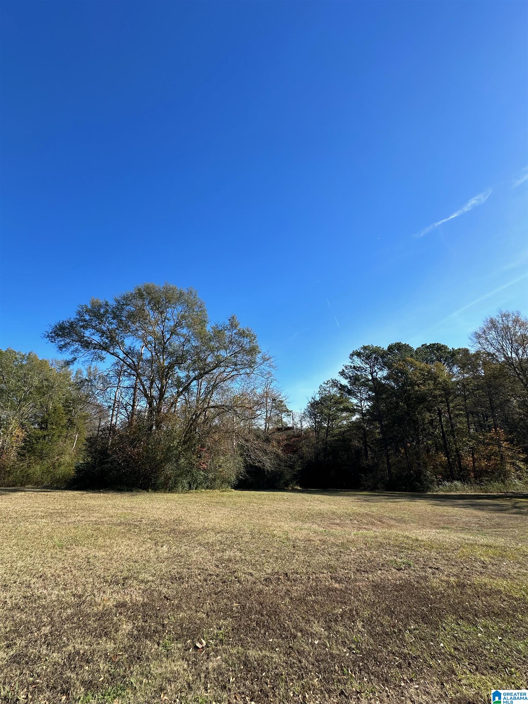 Lot 5 Carleton Point, Unit 5 Wilsonville, AL 35186 - Photo 12 of 12