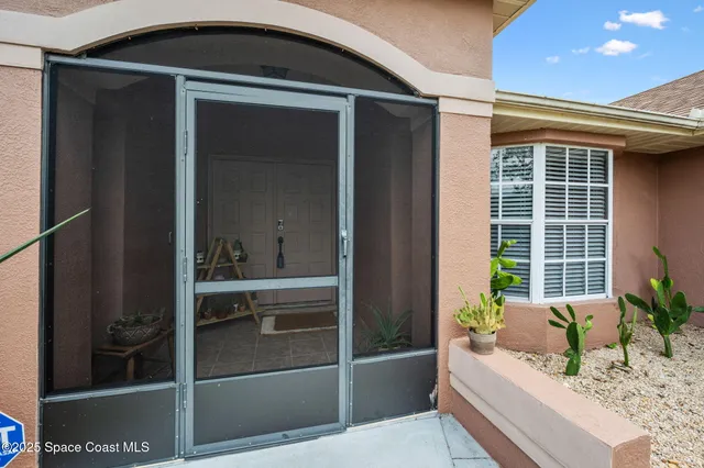 a potted plant in front of a door