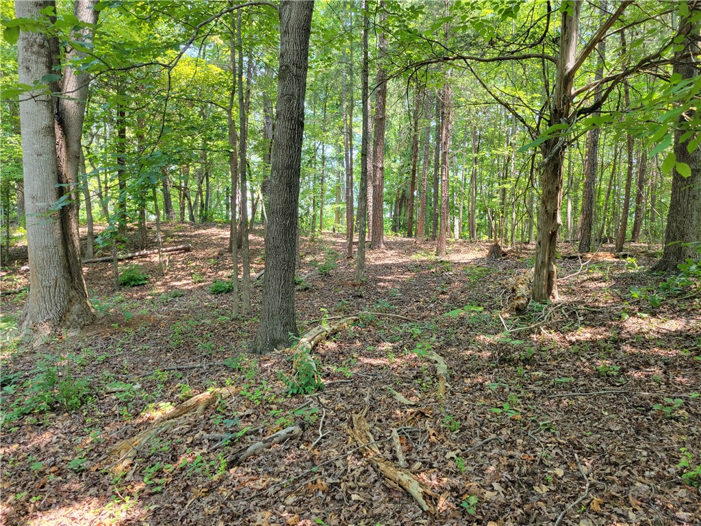 306 Foxfire Road Central, SC 29630 - Photo 7 of 12