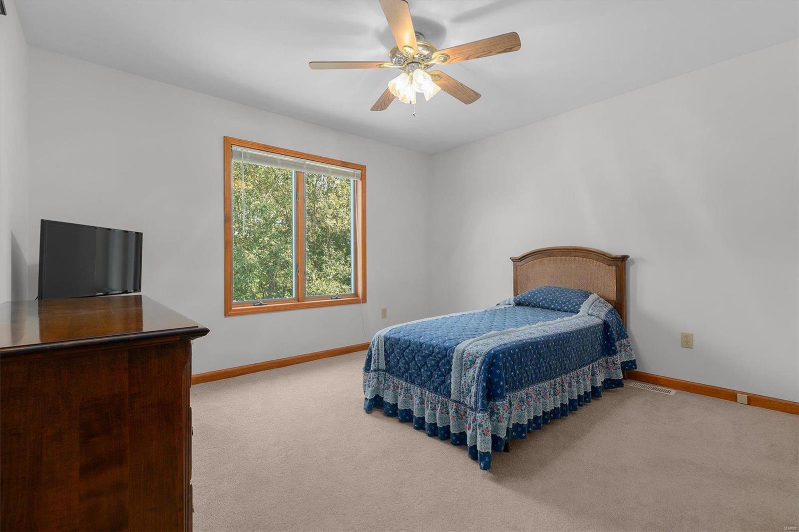 18170 Schafer Road Brighton, IL 62012 - Photo 21 of 53