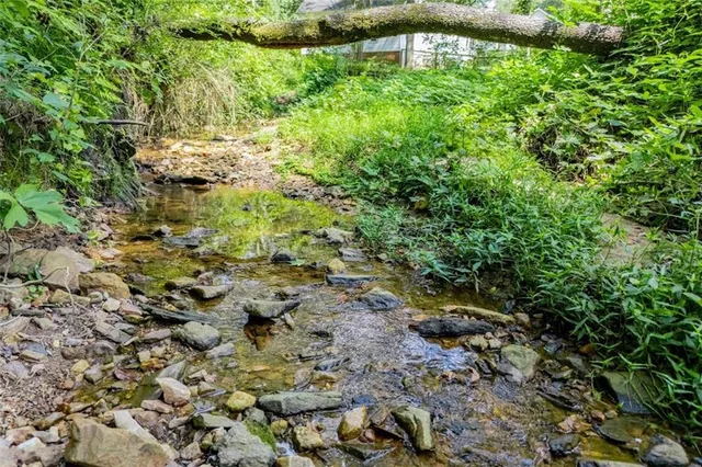 a view of a yard with plants and tree