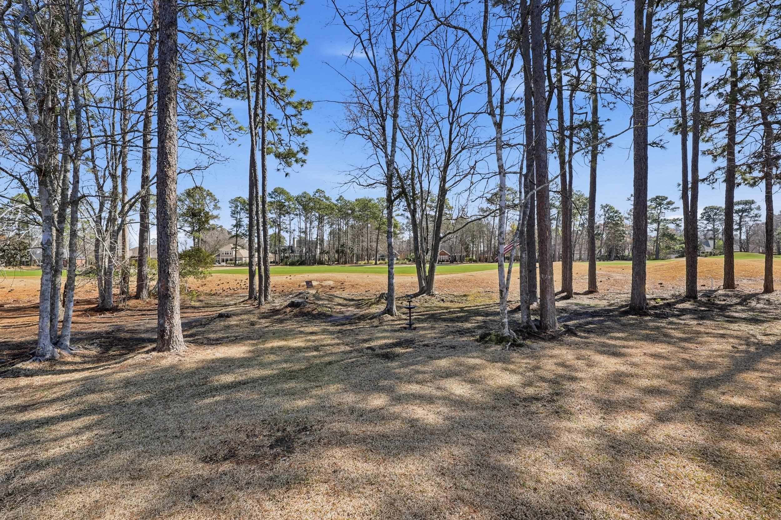 1216 Foxtail Drive Longs, SC 29568 - Photo 39 of 49