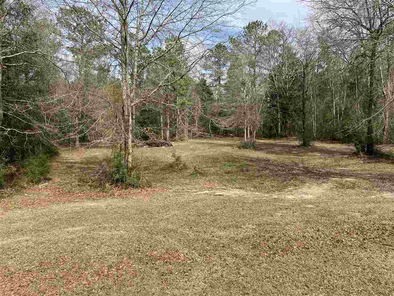 8171 Hurricane Road Bay Minette, AL 36507 - Photo 27 of 29 Back