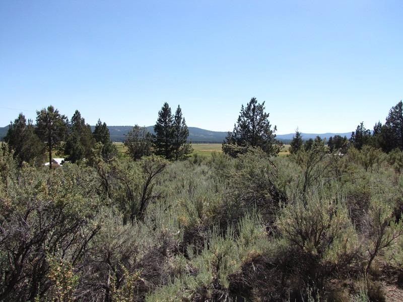 0 Lot 5 Drews Road Beatty, OR 97621 - Photo 2 of 10 Additional Photo