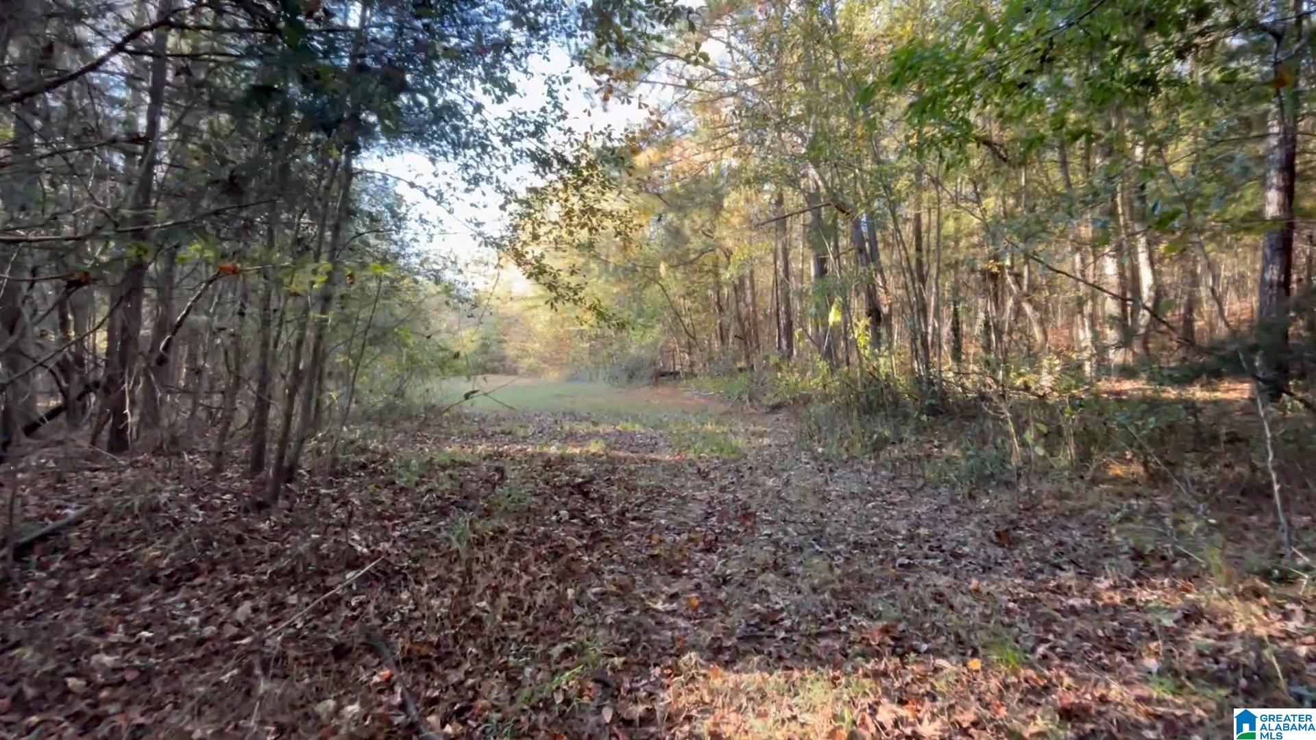 3294 Brady Road, Unit 24 ACRES Letohatchee, AL 36047 - Photo 21 of 44 Gallery Image 21