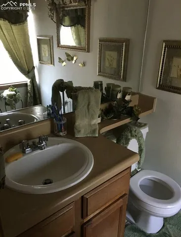a bathroom with a sink and a toilet