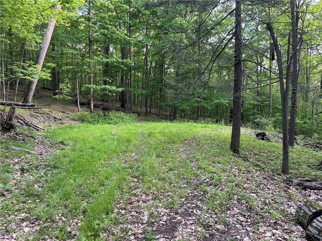 Silvernail Road Hammondsport, NY 14840 - Photo 21 of 25
