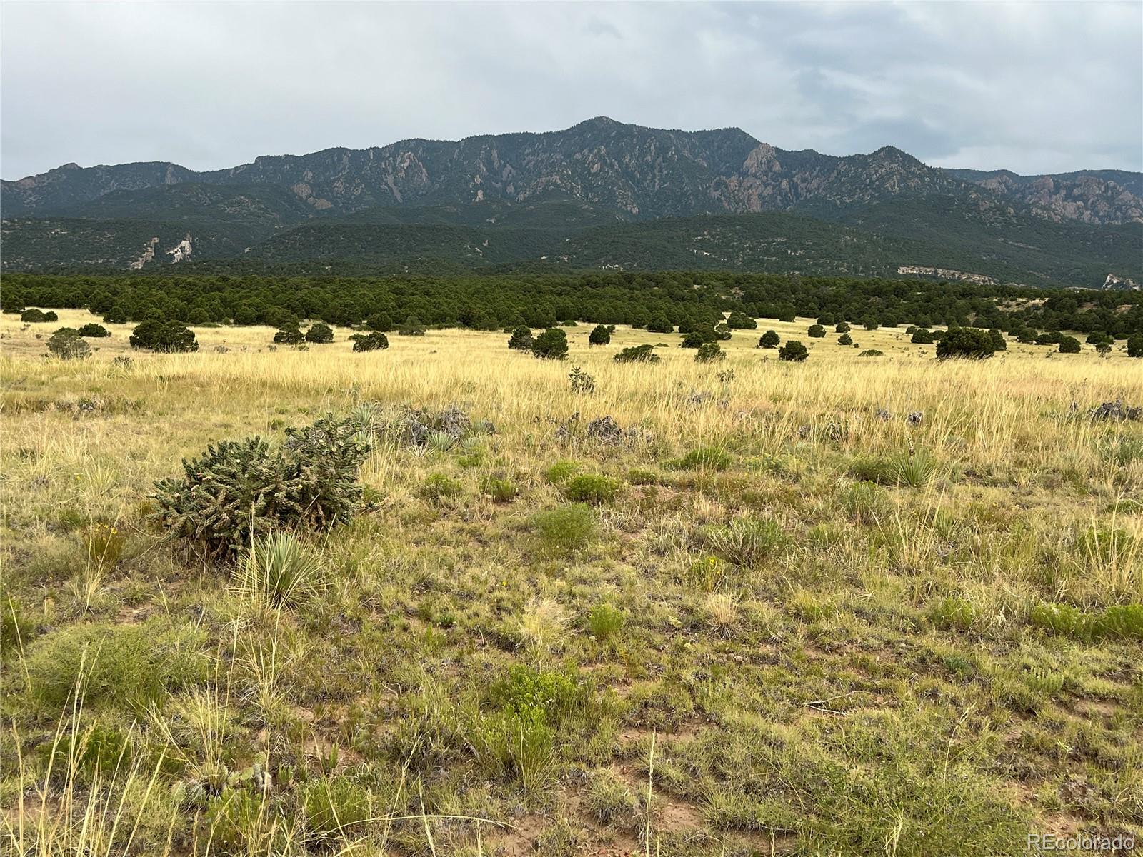 Cl&l Rye, CO 81069 - Photo 1 of 12 a view of a lake with mountains in the background