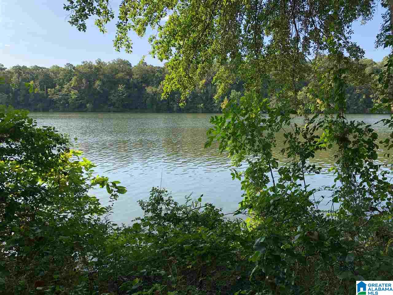 0 Brooks Road Ragland, AL 35131 - Photo 22 of 49
