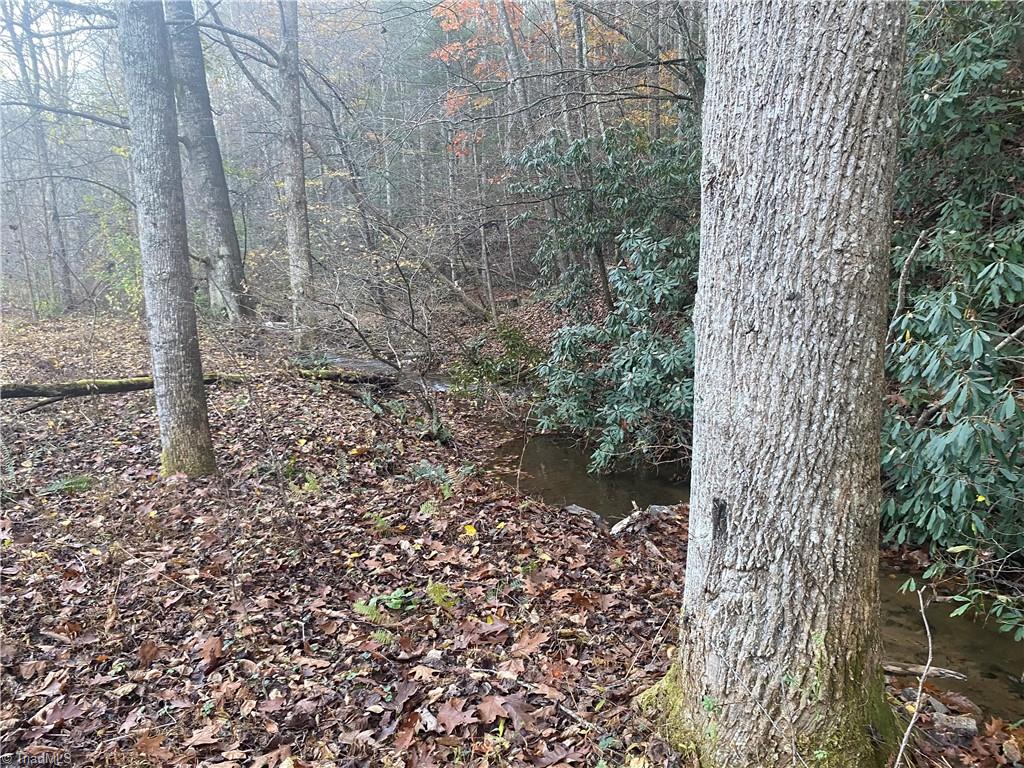 703 Buckwheat Road McGrady, NC 28649 - Photo 14 of 16 Gallery Image 14