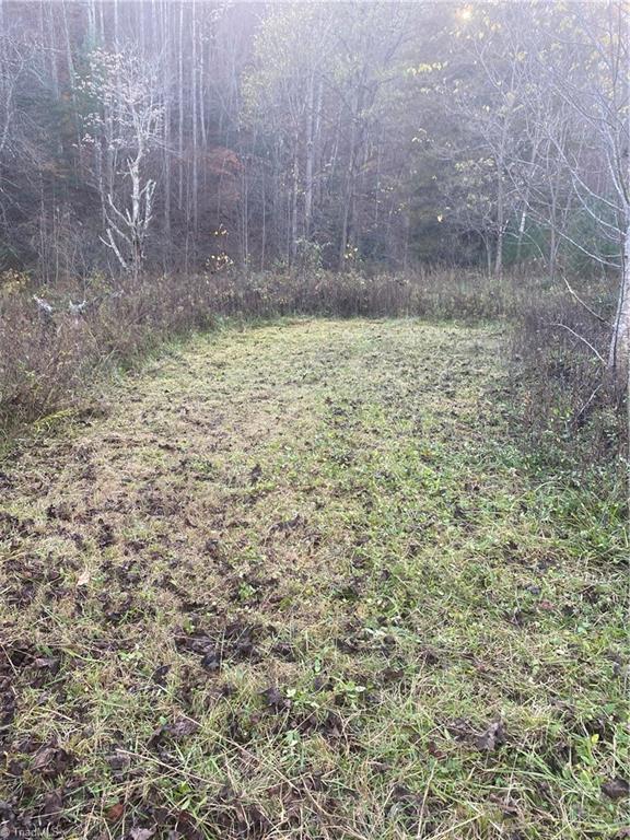 703 Buckwheat Road McGrady, NC 28649 - Photo 2 of 16 Gallery Image 2