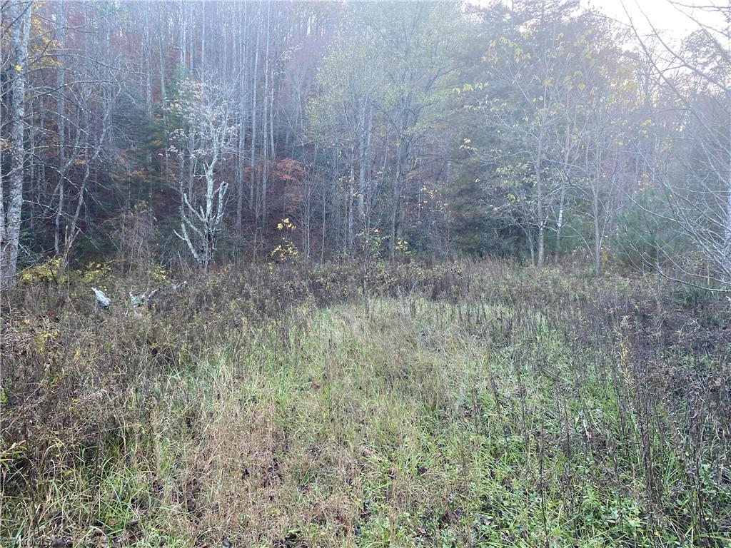 703 Buckwheat Road McGrady, NC 28649 - Photo 3 of 16 Gallery Image 3