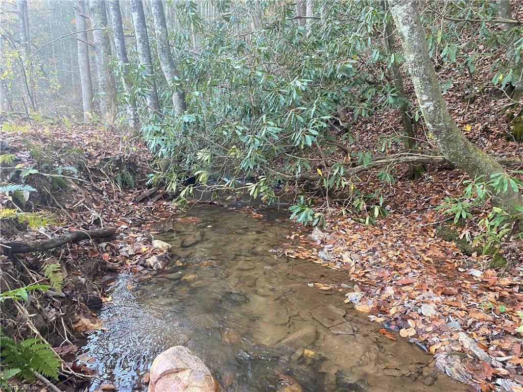 703 Buckwheat Road McGrady, NC 28649 - Photo 7 of 16 Gallery Image 7