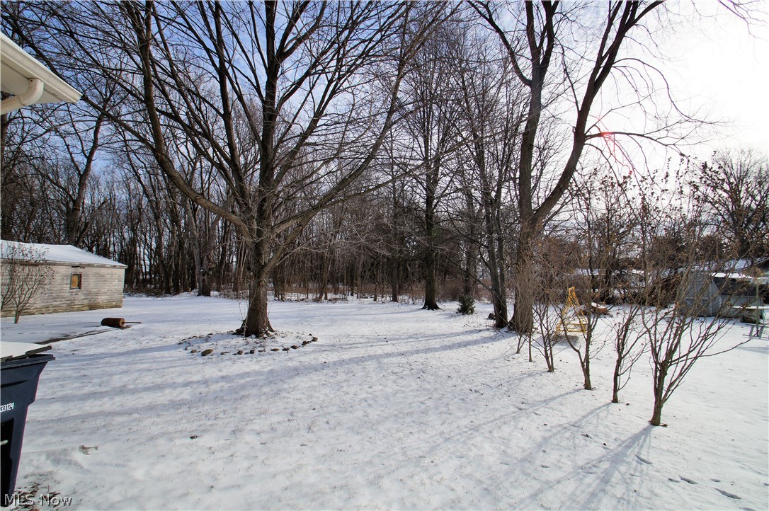 703 Darrow Road Akron, OH 44305 - Photo 17 of 19