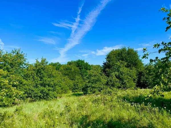 $109,000 | Lot 53 Wicklow Court, Poolville, TX 76487