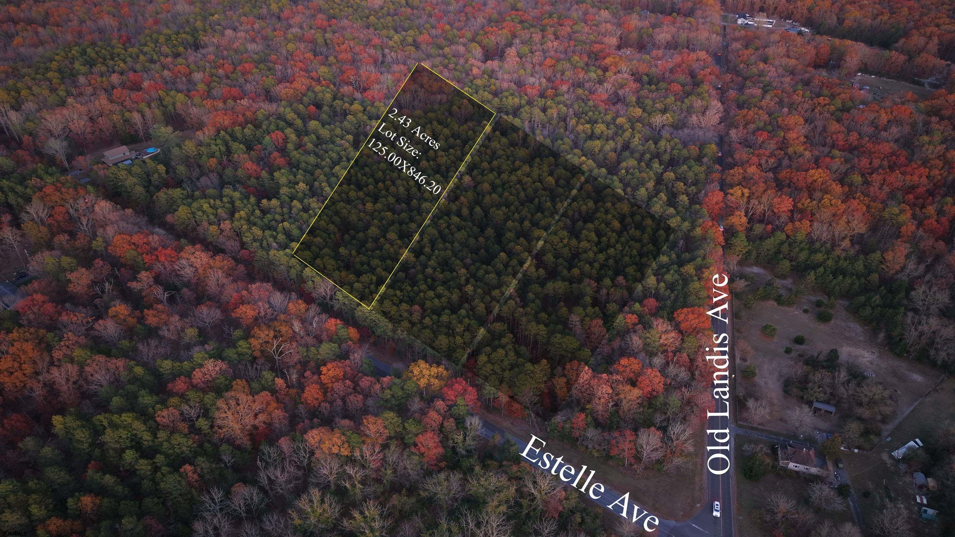 B:534-l:12.02 Estelle Avenue Mays Landing, NJ 08330 - Photo 2 of 6