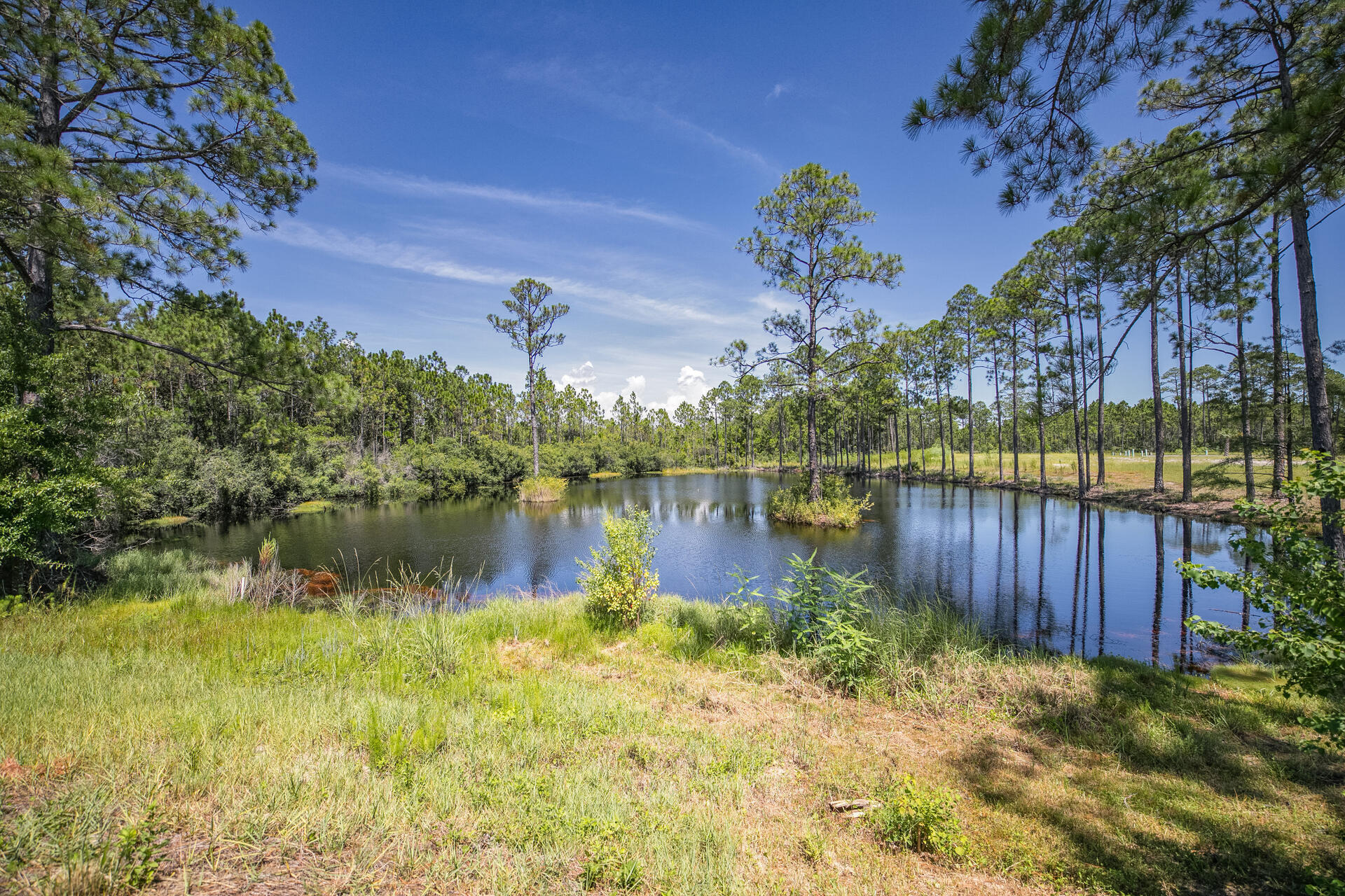 276 Sugar Sands Drive Santa Rosa Beach, FL 32459 - Photo 13 of 16 a view of a lake with a house in the background