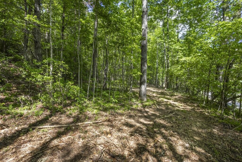 34 Donley Road Murphy, NC 28906 - Photo 23 of 37 Gallery Image 23