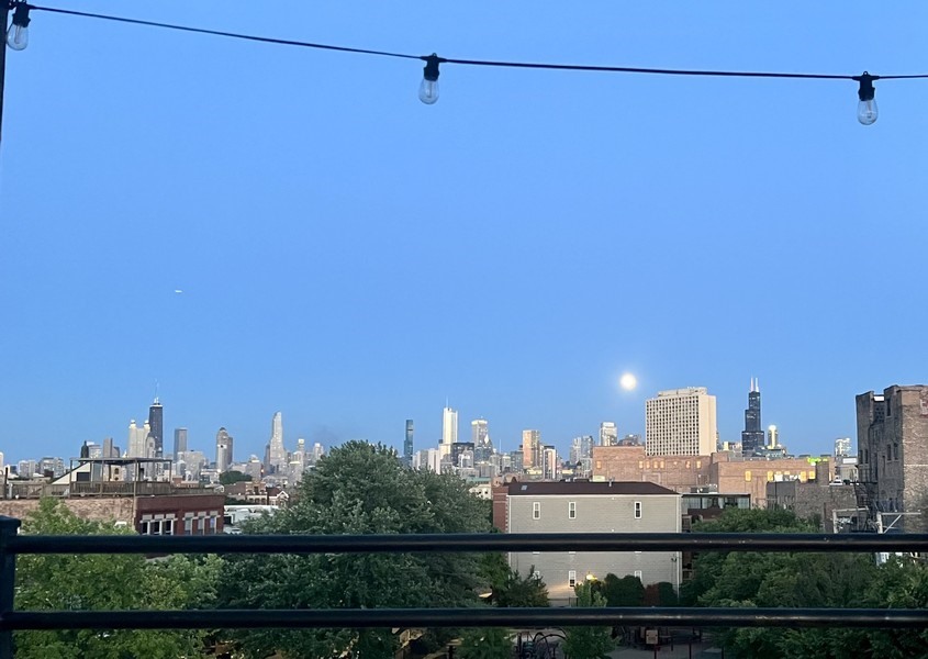 1372 North Dean Street, Unit 2 Chicago, IL 60622 - Photo 15 of 21